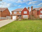 Thumbnail for sale in Nelson Drive, Medstead, Hampshire