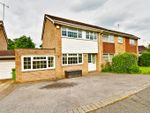 Thumbnail to rent in Arne Grove, Orpington, Kent