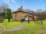 Thumbnail for sale in Sheephouse Lane, Abinger Common, Dorking, Surrey