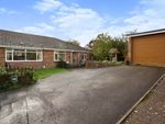 Thumbnail for sale in White Beam Rise, Clanfield, Waterlooville