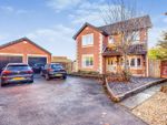 Thumbnail to rent in Sackville Close, Beverley