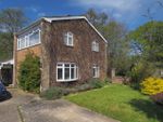 Thumbnail to rent in Greenfields, West Grimstead, Salisbury