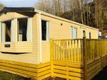 Thumbnail for sale in Stanhope Burn Holiday Park, Crawleyside