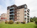 Thumbnail to rent in Fitzgerald Place, Cambridge