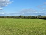Thumbnail for sale in Snailing Lane, Greatham, Liss