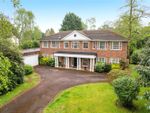 Thumbnail for sale in Ince Road, Burwood Park, Walton On Thames