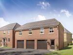 Thumbnail to rent in "Stevenson" at Southern Cross, Wixams, Bedford