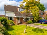 Thumbnail to rent in Oakfield, Plaistow, Billingshurst, West Sussex