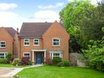 Thumbnail for sale in Newbery Close, Caterham, Surrey