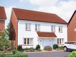 Thumbnail to rent in "The Holly" at Wallace Avenue, Boorley Green, Southampton