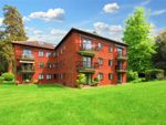 Thumbnail to rent in Laustan Close, Guildford, Surrey