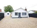 Thumbnail for sale in Rollestone Road, Holbury