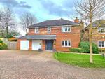 Thumbnail to rent in Swanwick Lane, Swanwick, Southampton