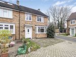 Thumbnail to rent in Buttermere Drive, Putney