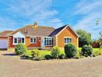 Thumbnail to rent in Bloom Close, Frinton-On-Sea