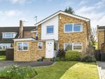 Thumbnail to rent in Rib Vale, Hertford