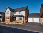 Thumbnail to rent in Sanderling Close, Bude, Cornwall