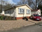 Thumbnail to rent in Chalk Hill Lane, Great Blakenham, Ipswich