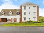 Thumbnail to rent in Heron Rise, Wymondham, Norfolk