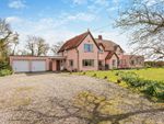 Thumbnail for sale in Aythorpe Roding, Dunmow, Essex