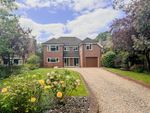 Thumbnail for sale in The Avenue, Alverstoke, Hampshire