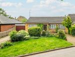 Thumbnail to rent in Fellowes Lane, Colney Heath, St. Albans, Hertfordshire