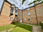 Thumbnail to rent in Parkinson Drive, Chelmsford