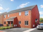 Thumbnail to rent in "The Linton" at Staynor Link, Selby