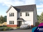 Thumbnail to rent in "The Tambrook" at Draffen Mount, Stewarton, Kilmarnock