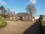 Thumbnail for sale in Salisbury Road, Andover