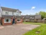 Thumbnail for sale in Carronbank Crescent, Denny