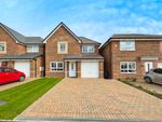 Thumbnail for sale in Bluebell Drive, Morpeth