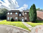 Thumbnail to rent in Celia Close, Waterlooville