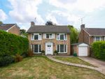 Thumbnail to rent in Woodland Drive, Hove, East Sussex