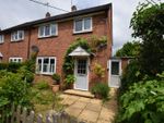Thumbnail for sale in Dunsells Close, Ropley, Alresford