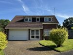 Thumbnail to rent in Yewens, Chiddingfold, Godalming