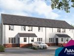 Thumbnail to rent in "The Elmwood" at Boar Stone View, Armadale, Bathgate