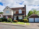 Thumbnail for sale in Orkney Road, Cosham, Portsmouth
