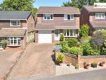 Thumbnail to rent in Roseacre Grove, Lightwood