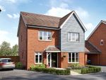 Thumbnail to rent in "The Juniper" at Worrall Drive, Wouldham, Rochester