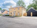 Thumbnail to rent in Jacob Drive, Mattishall