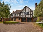 Thumbnail to rent in Yew Tree Close, Hatfield Peverel, Chelmsford, Essex