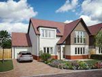 Thumbnail to rent in Orcombe Gardens, Exmouth, Devon