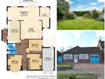Thumbnail for sale in Jenkins Avenue, Bricket Wood, St. Albans
