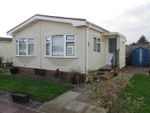 Thumbnail to rent in Shalloak Road, Broad Oak, Canterbury