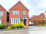 Thumbnail for sale in Cosmos Drive, Bridgwater