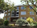 Thumbnail to rent in Dane Road, St. Leonards-On-Sea