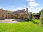 Thumbnail for sale in Hazelbank Close, Liphook