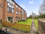 Thumbnail for sale in Chestnut Court, Southampton