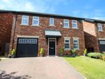 Thumbnail to rent in Foxglove Close, Cloverfields, Off Dalston Road, Carlisle